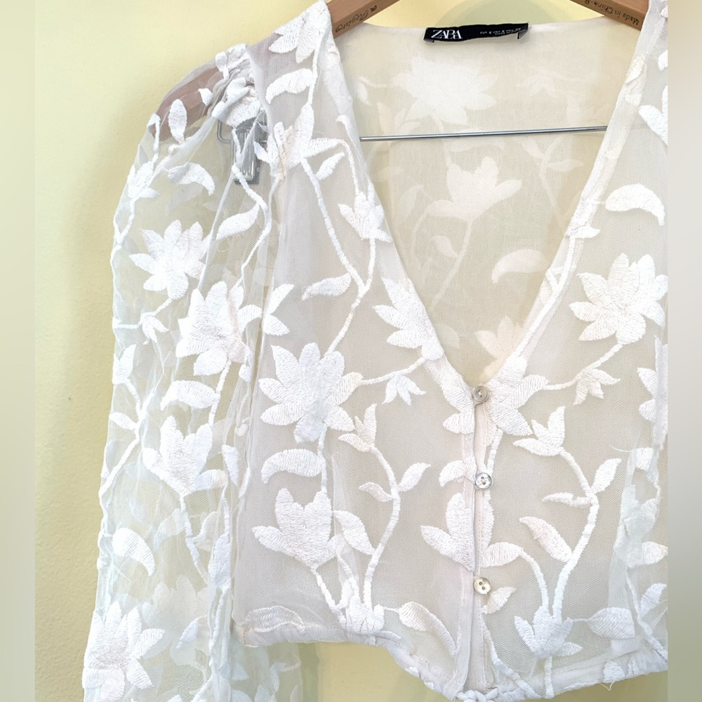 Sheer Lace Puffy Sleeve Blouse